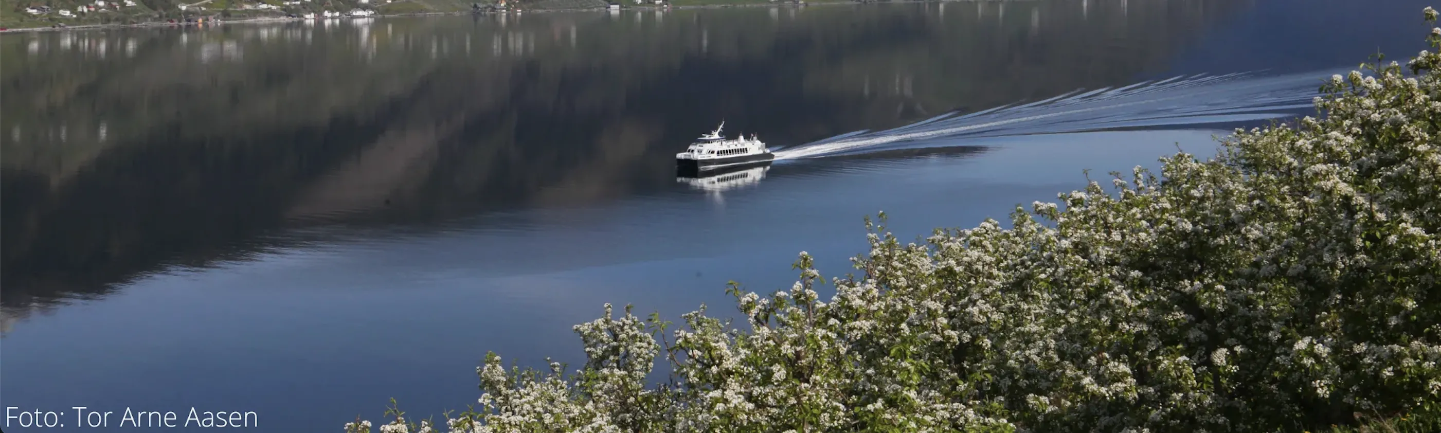 Båt i Hardanger, Tor Arne Aasen