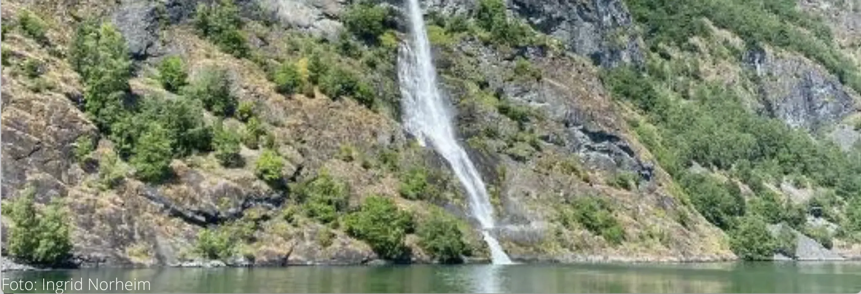 Natur i Flåm, Ingrid Norheim